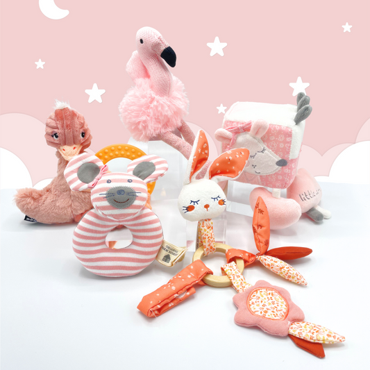Blush Pink Baby & Toddler Toy Deluxe Gift Box