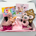 Load image into Gallery viewer, Blush Pink Baby & Toddler Toy Essential Gift Box