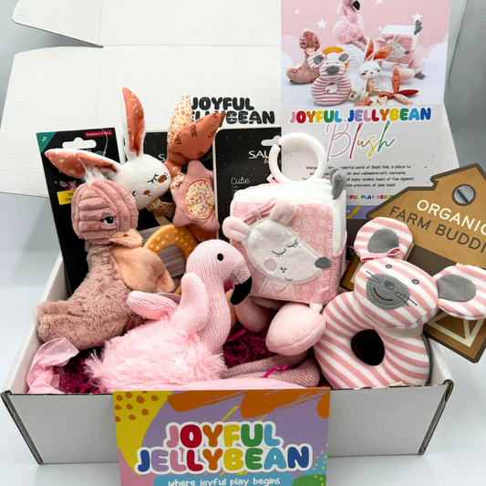 Blush Pink Baby & Toddler Toy Deluxe Gift Box
