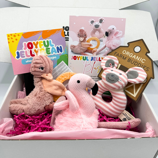 Blush Pink Baby & Toddler Toy Essential Gift Box