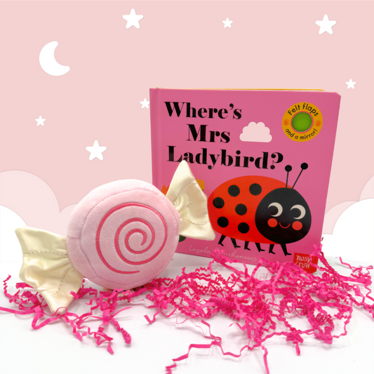 Pink Candy Baby & Toddler Toy Mini Gift Box