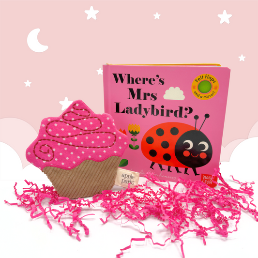 Pink Cupcake Baby & Toddler Toy Mini Gift Box