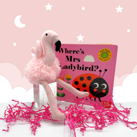 Blush Pink Flamingo Baby & Toddler Toy Mini Gift Box