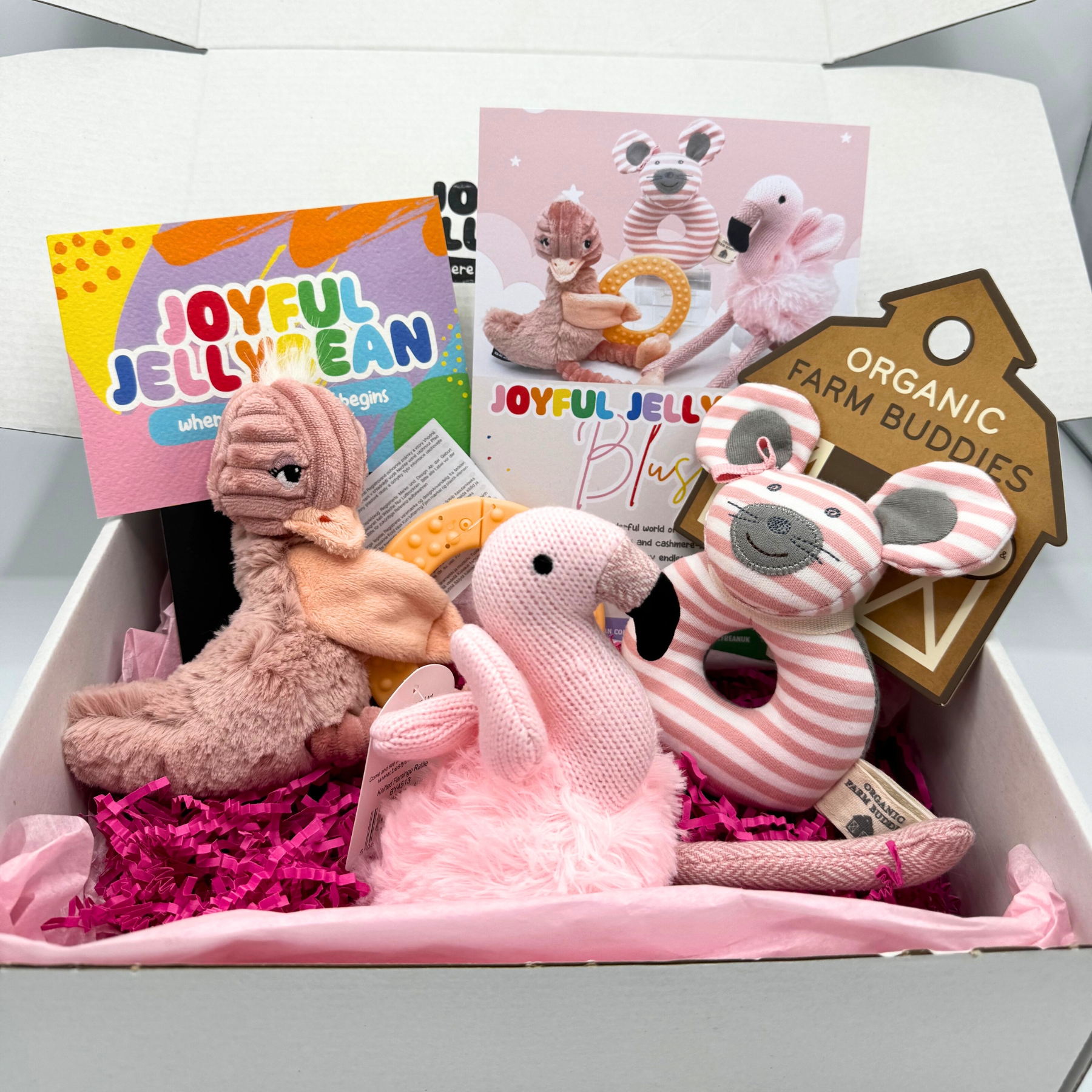 Blush Pink Baby Toy Essential Gift Box