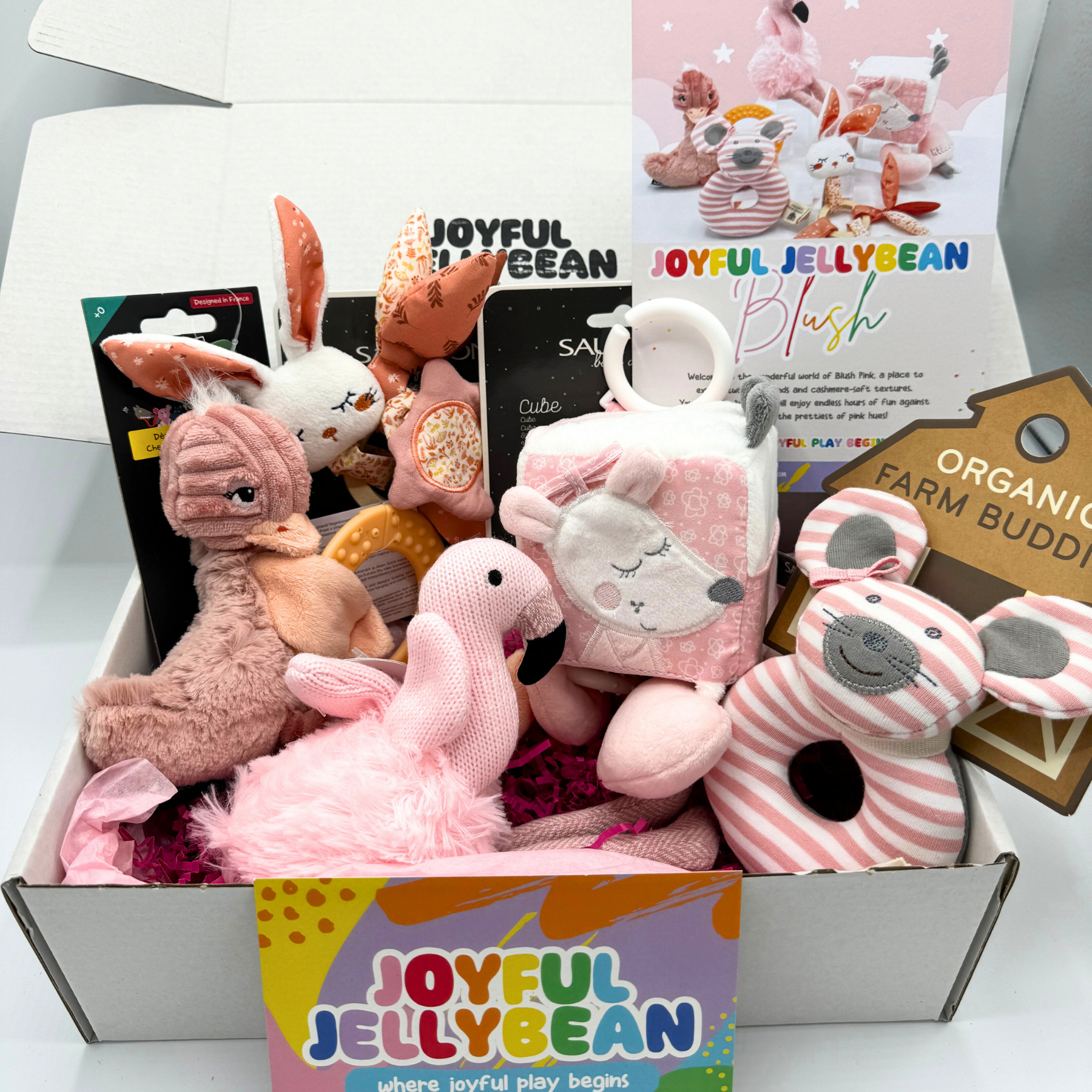 Blush Pink Baby Toy Deluxe Gift Box