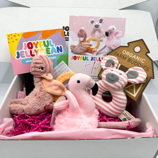 Blush Pink Baby Toy Essential Gift Box