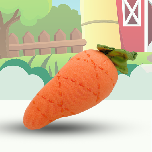Wiggly Carrot Baby Toy